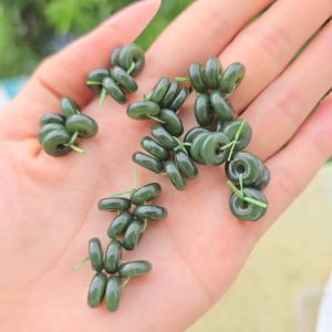 Combo 5 đồng điếu N.Bich sẵn lỗ 2li xỏ vòng cáp - Phong Thủy TUDO