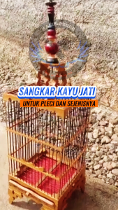 Sangkar Kayu Jati Pleci Kolibri Sogon Finishing