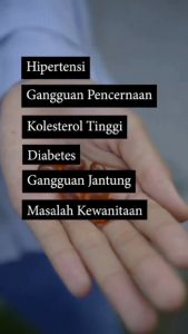 Kapsul Habbatussauda Kualitas Tinggi: Pemahaman & Manfaat