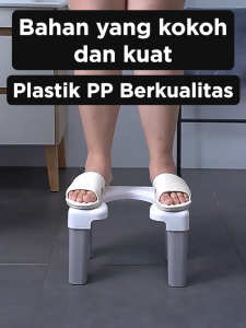 Mainland HSB682: Konversi Toilet Jongkok Menjadi Duduk