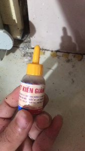 TKVT2NC10 - Combo 5 Thuốc Diệt Kiến Gián Tận Gốc thuốc diệt kiến gián sinh học có thành phần từ mật mía rất an toàn