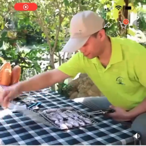 bbqStainless steel folding grill net Removable portable bbq grill net with fish net and vegetable rack grill tool