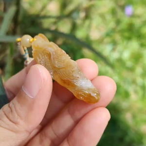 Yellow Natural Type A Jadeite crafted with Eagle and Chinese Coins symbols of Winner Money and Luck with QIC labs Approved certificate weigh 8.21 grams 49.8 * 15.5 * 8.1 mm very suitable for daily wear