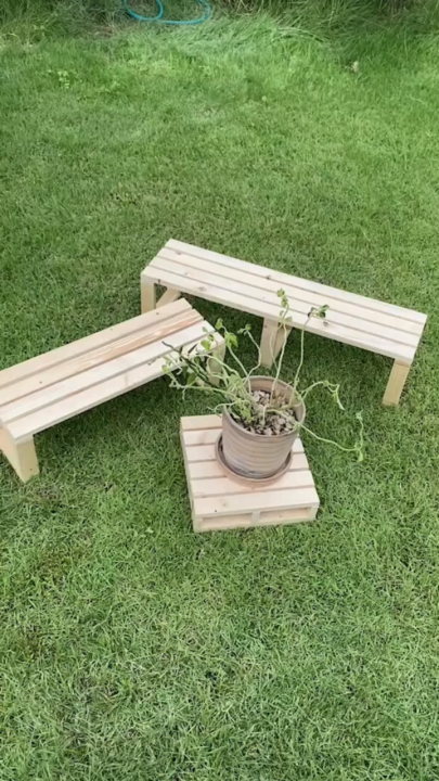 ชั้นวางต้นไม้ไม้สนแท้ พร็อพถ่ายรูป