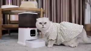 tuya wifi mobile phone app auto connected smart cat dog pet food automatic feeder