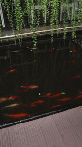 GS - Blouse Wanita Nata Kombinasi // Blouse Wanita Terbaru Kombinasi Kekinian