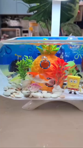 AQUARIUM AKRILIK AQUATIUM MINI AQUARIUM CUPANG GEPI