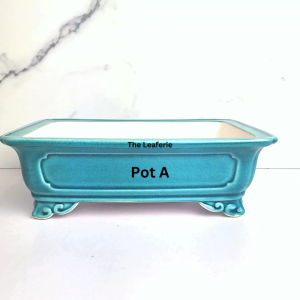 The Leaferie Bonsai Tally Pot (Series 5) Rectangular Plant pot rectangle Ceramic . Flowerpot . Planter. Flower pots