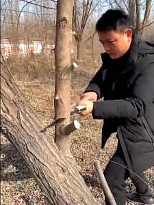 GERGAJI LIPAT GERGAJI SAKU PORTABEL Folding Wood Hand Saw GERGAJI POHON GERGAJI KAYU