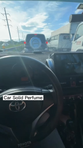 Plant Extract Balm Car Perfume Airfreshener Deodorizing Fragrance Remove Odor Fresh Aromatherapy