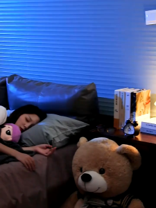 Toy Display Storage Box Light Transparent Dustproof Cabinet Mystery Garage Kit for Toys Figure Doll Blind Box Home Decor