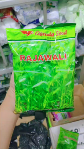 Benih Kangkung Hijau Premium Rajawali 1KG untuk Taman dan Tenda