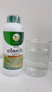 เจนวาย อไลค์วัน 1L. (สูตรเพิ่มสารจับใบ) รูปแบบน้ำใส ข้าวต้นตั้งโตไว แข็งแรง ใบเขียวเข้ม แตกกอดี พร้อมต่อการออกรวง