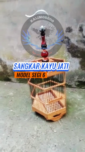 Sangkar Pleci Kolibri Sogon Model Segi Enam