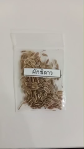 เมล็ดพันธุ์ผักชีลาว ซองละ 5 บาท