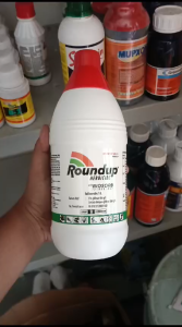 ROUNDUP 486 SL 1 LITER HERBISIDA RACUN RUMPUT & GULMA