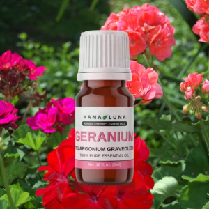 Geranium Essential Oil 100% Pure Aromatherapeutic Grade Organic All Natural Sleep Enhancer Diffuser Air Freshener Purifier Anti Aging Anti Stress Antioxidant Antimicrobial Skin Detox Yoga Grounding Calming Meditation - Hana Luna Philippines