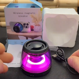 Speedefy Portable Mini Wireless Bluetooth Speakers with RGB Light Dual Pairing Support TF 迷你蓝牙扬声器