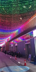 Seasonal Lights Lampu Raya Fairy Light RGB LED Strip Decorative hiasan Lightings 10 Meter 100 LED 30 Meter Deepavali Decoration Lighting