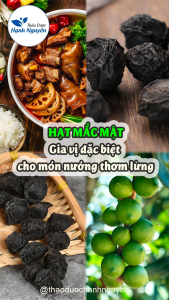Hạt mắc mật khô 500g (hạt móc mật đặc sản Tây Bắc gia vị tẩm ướp) - Thảo Dược Hạnh Nguyên