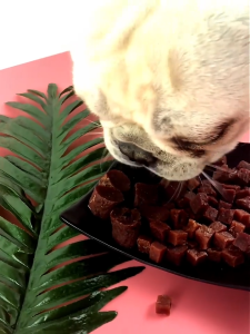 500 กรัม ขนมสนัข รสเนื้อ​่ แบบแท่งแข็ง​กลม แท่งเนื้อโปรตีนสูง 50 หมาก