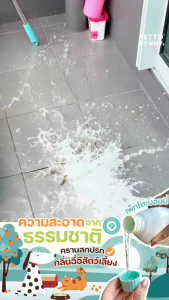 600 ML น้ำยาทำความสะอาดอเนกประสงค์ สเปรย์ดับกลิ่นฉี่สุนัข แมว น้ำยาถูพื้น สัตว์เลี้ยง สูตรธรรมชาติ เพ็ทโตะบอนนี่ ( PettoBonnys )