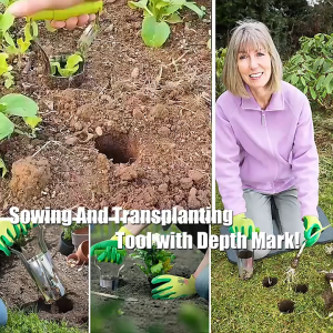 Pertanian Stainless Steel Pelubang Tanah Tanam Tanaman Kebun Pemindah BibitAlat Penanam Bibit