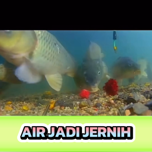 Alat Pendeteksi Ikan Kamera Bawah Air Waterproof Memancing Ikan Visual Ultra Wide HD Night Vision Kabel 20M