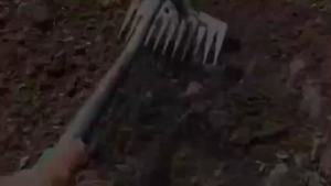 BD Garden Weeding Hoe & 2 in 1 Weeding Rake