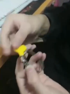 Satu Keluarga Stainless Klem Selang Air Serbaguna C1113 Klem Selang Kuping 1/2 - 1 Inch Hose Clamp