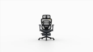 [SG Brand] Noble EARL Chair Executive HighBack Mesh Ergonomic Chair with Lumbar support for gaming study office home Adjustable Back Height