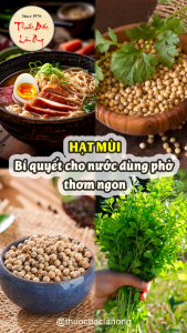 Hạt mùi khô 100g hạt ngò thơm sạch gia vị nấu phở nấu nước sâm pha trà