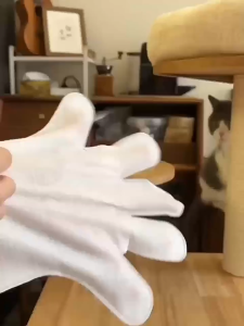 ถุงมือทำความสะอาดสัตว์เลี้ยง ถุงมืออาบน้ำแมว ไม่ระคายเคืองผิว Anti-Bacterial 6ชิ้น/ห่อ