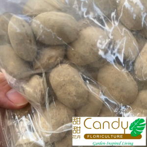 (SG Seller) Fertilizer For Tree And Foliage Plant NPK-12+6+6 (Usagi)