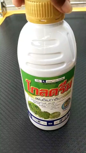 หัวเสือ โกลดรีม ขนาด 1 ลิตร เพนดิเมทาลิน คุมหญ้าใบแคบและใบกว้าง คุมแห้งใน นา อ้อย ผักชี ข้าวโพด มันสำปะหลัง