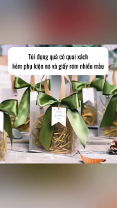 Túi Đựng Quà Quai Cói ST GROUP kèm nơ và giấy rơm nhiều màu Túi Nhựa Bóng Kính chống thấm nước đựng hoa quà tặng