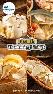 Dừa biển khô Thái Lan 100g (Nấu canh nấu chè ngọt thanh mát) - Thảo Dược Hạnh Nguyên