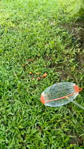 Roller Buah Lerai Sawit Telescopic Non-Bending Roller Fruit Picker Fruit Collector