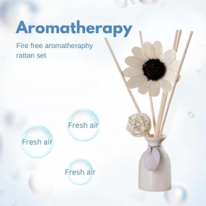 Scents Reed Diffuser Home Fragrance Aromatherapy Bedroom Air Freshener for Christmas Birthday Wedding Gift Household