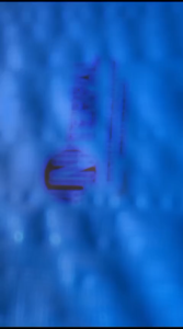 TERPAL UKURAN 10X12 METER PERSEGI A12 KOREA TEBAL DAN KUAT MULTIFUNGSI