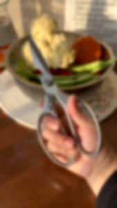 Gunting Dapur JAPAN Tajam Kuat Tebal & Gunting Stainless Steel Kitchen Serbaguna