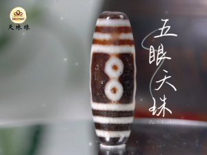 五眼天珠 5 EYED DZI 幸运之珠 西藏老天珠 ANTIQUE DZI WEALTH DZI 手链/项链 Bracelet/Necklace DZI DESTINY 天珠缘