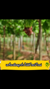 เครื่องผูกกิ่งไม้เทปรีฟิล แพ็ค 20 ม้วน ปรับปรุงประสิทธิภาพการทำงาน TapeTool