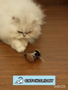 CatHoliday หนูติดล้อ ของเล่นแมว ของเล่นสัตว์เลี้ยง