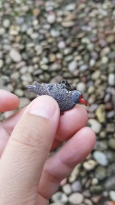 เหรียญนกคุ้มยันต์รอบองค์ (ไม่ทราบที่)