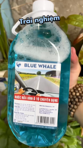 Combo Yêu Xe: 1 chai nước rửa kính ô tô BlueWhale + 1 chai xịt làm đen bóng lốp BlueWhale 500ml