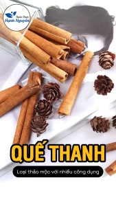 Trà Quế Cạo Vỏ 100g (Quế Ống Trà Quế) - Có hút chân không
