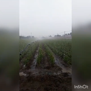 RAIN HOSE SPRINKLER HOSE 1.5 Inch x 100m With Butterfly Wing Support