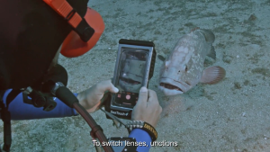 DIVEVOLK SeaTouch 4 MAX Underwater Iphone 11/12/13/14/15/16/XR/XS/XE & Android เคสโทรศัพท์กันน้ำหน้าจอสัมผัส