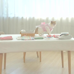 Portable Mini Sewing Machine 4 in 1 tiada bateri white sewing machines Dual Speed with LED Light/ Mesin Jahit Mini/ Mesin Jabit Portable Automatic Thread (with accessories)